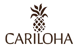 Cariloha Cariloha | Retail